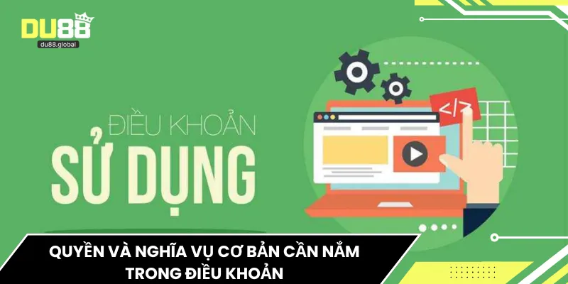 Quyền và nghĩa vụ cơ bản cần nắm trong điều khoản